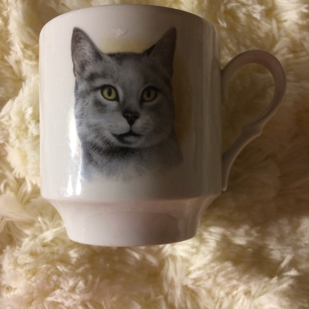 Vintage Bavaria Cat Mug Schumann Arzberg Germany